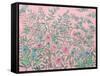 French Garden Pink-Julia Purinton-Framed Stretched Canvas