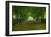 French Gardens-Shelley Lake-Framed Premium Giclee Print