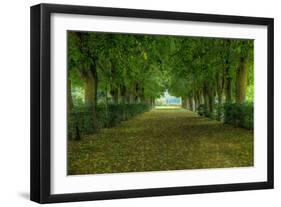 French Gardens-Shelley Lake-Framed Premium Giclee Print