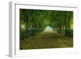 French Gardens-Shelley Lake-Framed Premium Giclee Print