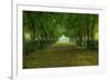 French Gardens-Shelley Lake-Framed Premium Giclee Print