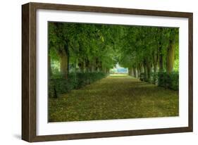 French Gardens-Shelley Lake-Framed Art Print