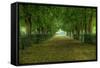 French Gardens-Shelley Lake-Framed Stretched Canvas