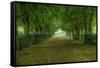 French Gardens-Shelley Lake-Framed Stretched Canvas