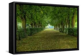 French Gardens-Shelley Lake-Framed Stretched Canvas