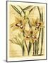 French Gladiola-Samuel Curtis-Mounted Art Print