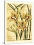French Gladiola-Samuel Curtis-Stretched Canvas