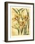 French Gladiola-Samuel Curtis-Framed Art Print