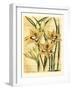 French Gladiola-Samuel Curtis-Framed Art Print