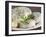 French Goat Cheese on Wooden Table, Clos Des Iles, Le Brusc, Cote d'Azur, Var, France-Per Karlsson-Framed Photographic Print