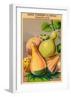 French Gourd Selection Seed Packet-null-Framed Art Print