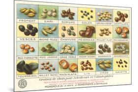 French Grain Chart-null-Mounted Premium Giclee Print