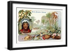French Guiana, from a Series of Collecting Cards Depicting the Colonial Domain of France, C. 1910-null-Framed Giclee Print