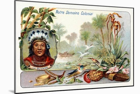 French Guiana, from a Series of Collecting Cards Depicting the Colonial Domain of France, C. 1910-null-Mounted Giclee Print