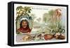 French Guiana, from a Series of Collecting Cards Depicting the Colonial Domain of France, C. 1910-null-Framed Stretched Canvas