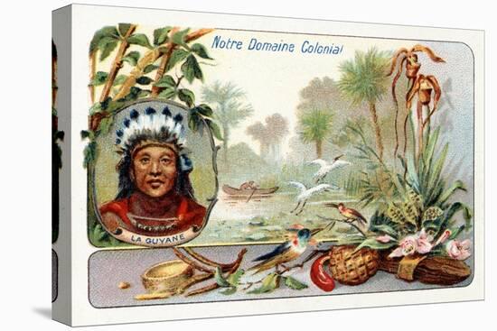 French Guiana, from a Series of Collecting Cards Depicting the Colonial Domain of France, C. 1910-null-Stretched Canvas