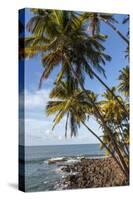 French Guiana, Ile St. Joseph. View of Palm Trees and Rocks on Beach-Alida Latham-Stretched Canvas