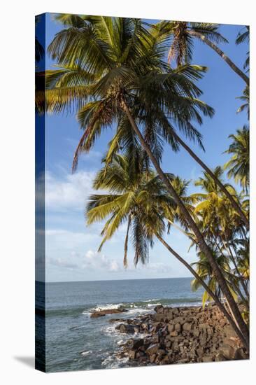 French Guiana, Ile St. Joseph. View of Palm Trees and Rocks on Beach-Alida Latham-Stretched Canvas