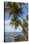 French Guiana, Ile St. Joseph. View of Palm Trees and Rocks on Beach-Alida Latham-Stretched Canvas