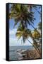 French Guiana, Ile St. Joseph. View of Palm Trees and Rocks on Beach-Alida Latham-Framed Stretched Canvas