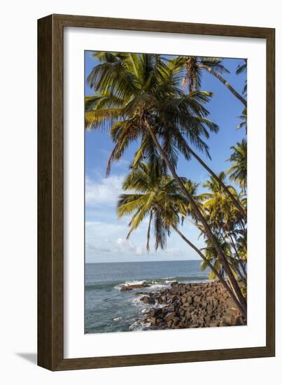 French Guiana, Ile St. Joseph. View of Palm Trees and Rocks on Beach-Alida Latham-Framed Photographic Print