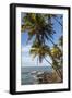 French Guiana, Ile St. Joseph. View of Palm Trees and Rocks on Beach-Alida Latham-Framed Photographic Print