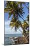 French Guiana, Ile St. Joseph. View of Palm Trees and Rocks on Beach-Alida Latham-Mounted Photographic Print