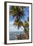 French Guiana, Ile St. Joseph. View of Palm Trees and Rocks on Beach-Alida Latham-Framed Photographic Print