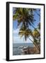 French Guiana, Ile St. Joseph. View of Palm Trees and Rocks on Beach-Alida Latham-Framed Photographic Print