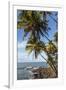 French Guiana, Ile St. Joseph. View of Palm Trees and Rocks on Beach-Alida Latham-Framed Photographic Print