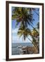 French Guiana, Ile St. Joseph. View of Palm Trees and Rocks on Beach-Alida Latham-Framed Photographic Print