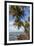 French Guiana, Ile St. Joseph. View of Palm Trees and Rocks on Beach-Alida Latham-Framed Photographic Print