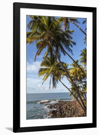 French Guiana, Ile St. Joseph. View of Palm Trees and Rocks on Beach-Alida Latham-Framed Photographic Print