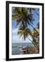 French Guiana, Ile St. Joseph. View of Palm Trees and Rocks on Beach-Alida Latham-Framed Photographic Print