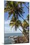 French Guiana, Ile St. Joseph. View of Palm Trees and Rocks on Beach-Alida Latham-Mounted Photographic Print