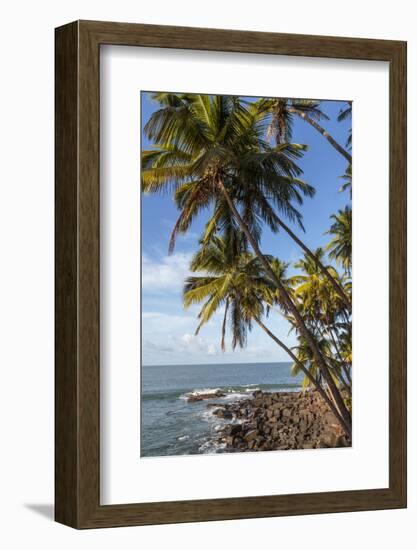 French Guiana, Ile St. Joseph. View of Palm Trees and Rocks on Beach-Alida Latham-Framed Photographic Print