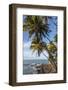 French Guiana, Ile St. Joseph. View of Palm Trees and Rocks on Beach-Alida Latham-Framed Photographic Print