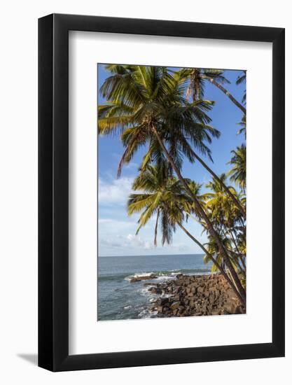 French Guiana, Ile St. Joseph. View of Palm Trees and Rocks on Beach-Alida Latham-Framed Photographic Print