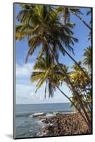 French Guiana, Ile St. Joseph. View of Palm Trees and Rocks on Beach-Alida Latham-Mounted Photographic Print