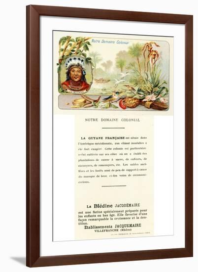 French Guiana-null-Framed Giclee Print