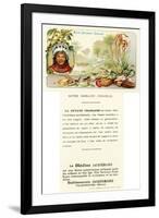 French Guiana-null-Framed Giclee Print