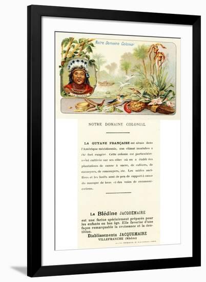 French Guiana-null-Framed Giclee Print