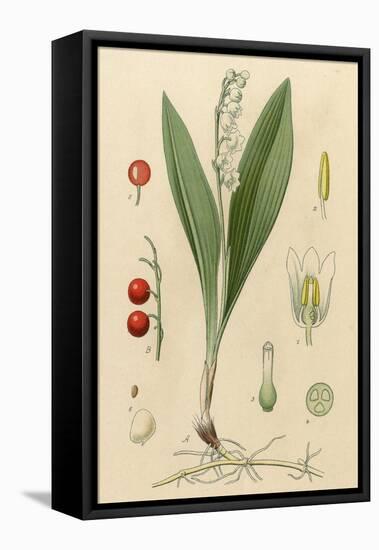 French Herbal-null-Framed Stretched Canvas