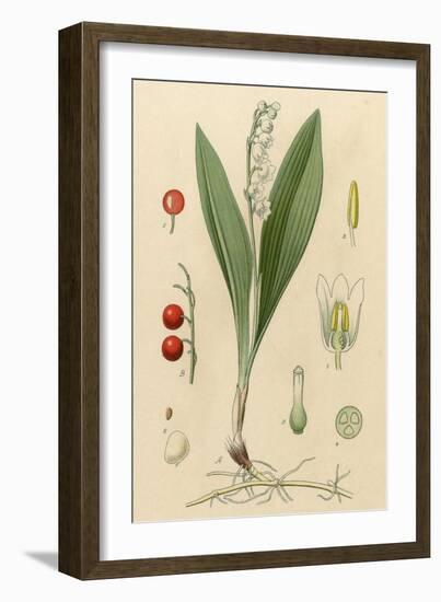 French Herbal-null-Framed Art Print