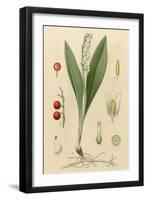 French Herbal-null-Framed Art Print