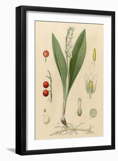 French Herbal-null-Framed Art Print