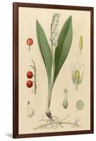 French Herbal-null-Framed Art Print