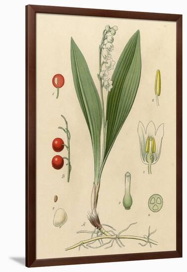 French Herbal-null-Framed Art Print