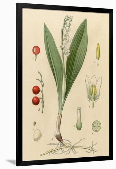 French Herbal-null-Framed Art Print