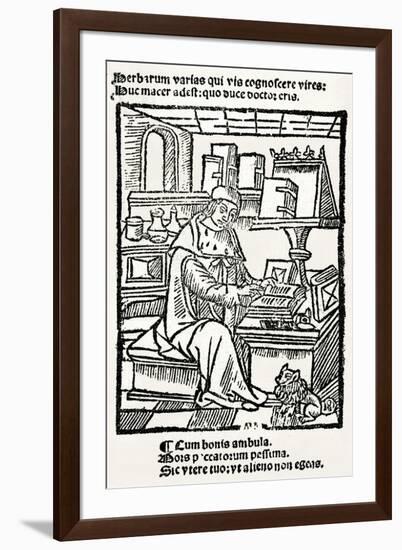 French Herbalist Marcus Floridus-null-Framed Art Print